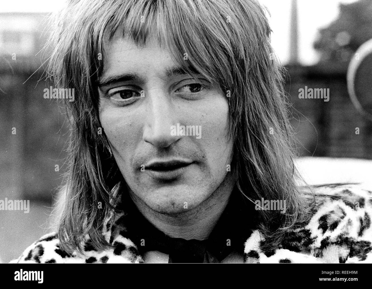 Stewart, Rod & Gesichter London 1971 - London, Grossbritannien - 1971, (Foto Gijsbert Hanekroot) *** Local Caption *** Stewart Rod & Gesichter London 1971 - Ron Wood Stewart Rod GESICHTER Stockfoto