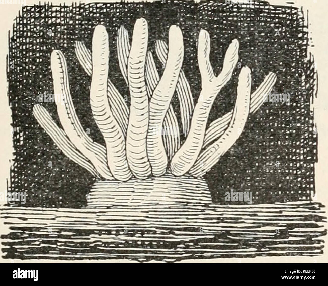 Zeitler Stockfotos Und Bilder Kaufen Alamy