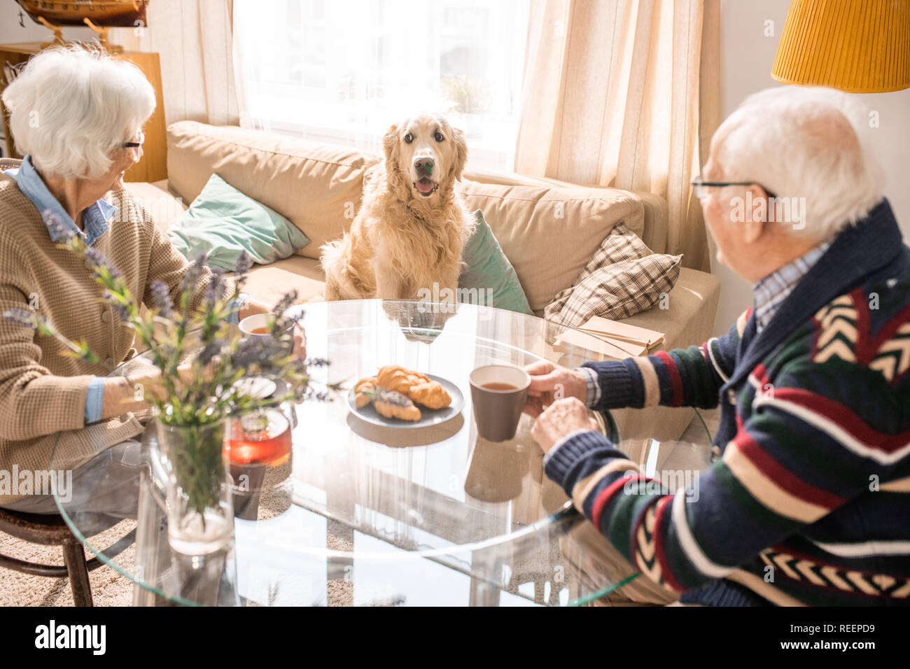 Portrait von Senior Paar beim Mittagessen in Tabelle mit niedlichen Hund sitzt auf der Couch und Sie Stockfoto