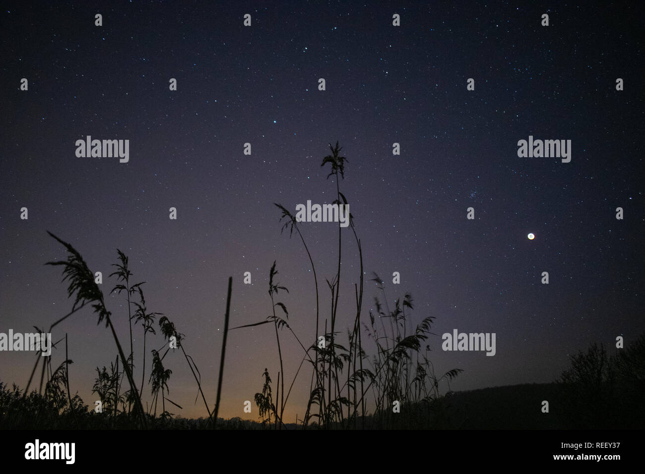 Super Blut Wolf moon Eclipse Stockfoto