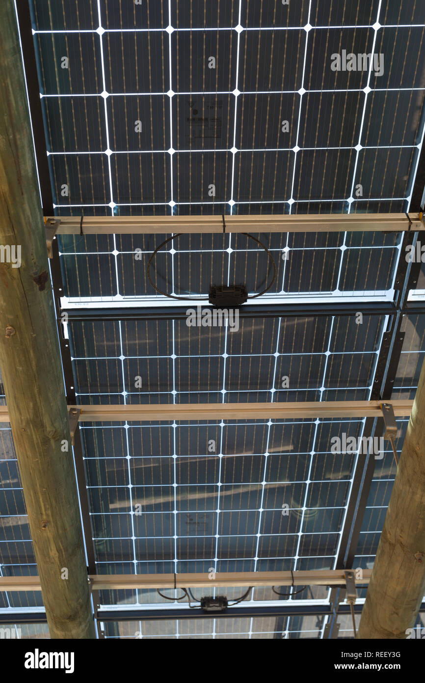 Solarenergie, Photovoltaik, eingesetzt als Dach über Parkplatz in Nahaufnahme und detaillierte Darstellung alternative Energieeffizienz in Südafrika Stockfoto