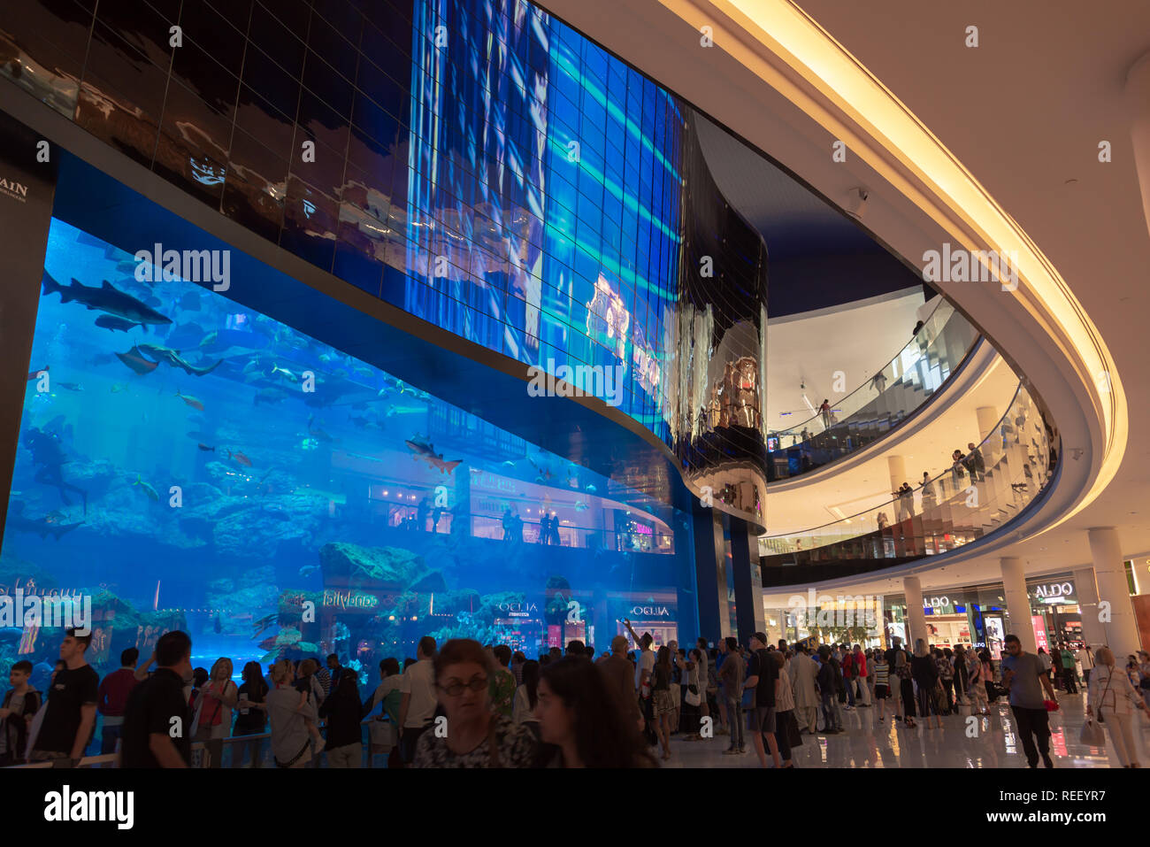 Leute, die vor Dubai Aquarium in der Dubai Mall, Vereinigte Arabische Emirate Stockfoto