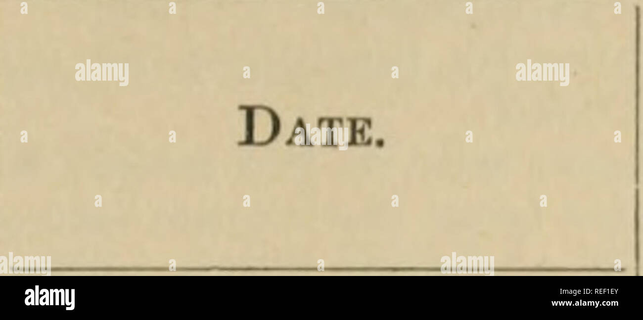 Wie man ein gutes Dating-Website-Profil erstellt