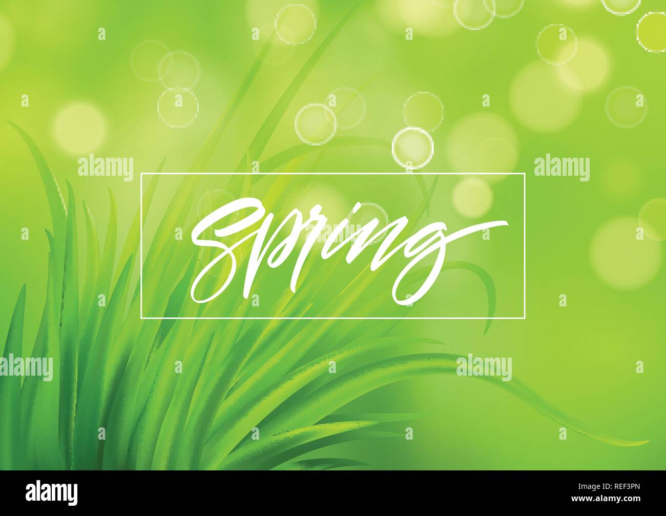 Frash Spring Green Gras Hintergrund mit Handschrift Schriftzug. Vector Illustration Stock Vektor