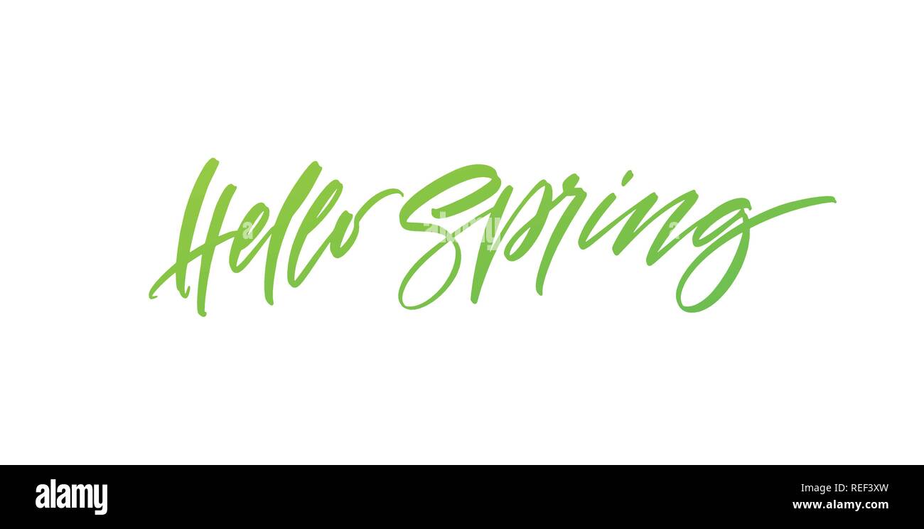 Hallo Frühling. Hand gezeichnet Kalligraphie und Pinsel, Stift-Schriftzug. Vector Illustration Stock Vektor