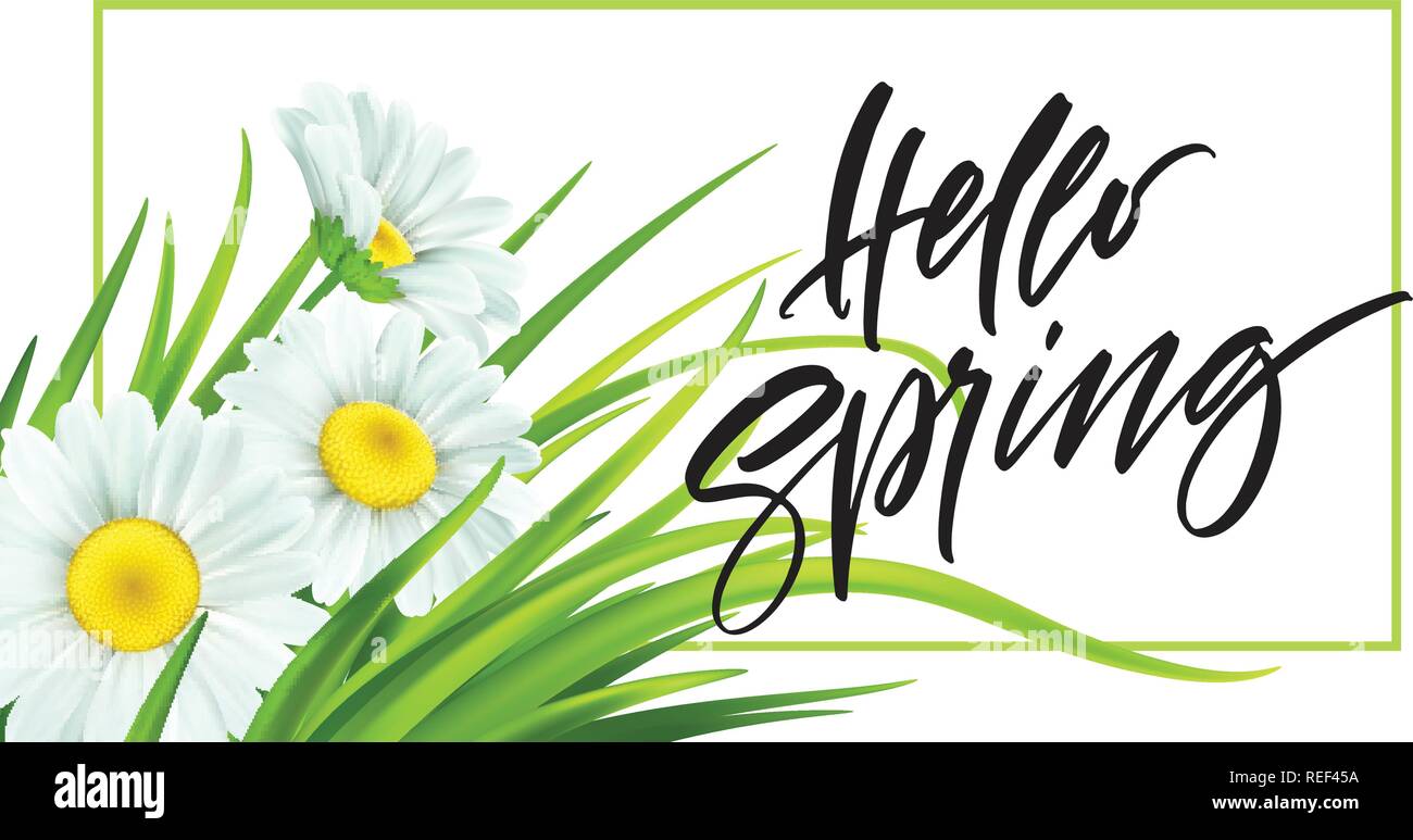 Frühling Hintergrund mit Gänseblümchen und frische grüne Gras. Hallo Frühling Handschrift Schriftzug. Vector Illustration Stock Vektor