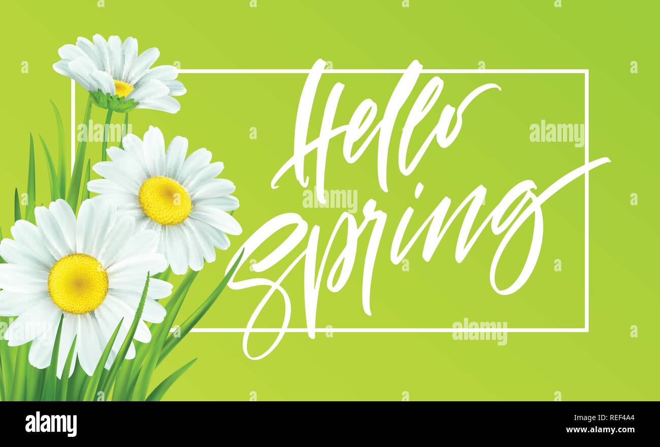 Frühling Hintergrund mit Gänseblümchen und frische grüne Gras. Hallo Frühling Handschrift Schriftzug. Vector Illustration Stock Vektor