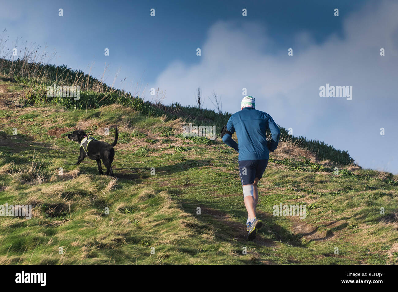 Ein Läufer und sein Hund auf einem Hügel in der Landschaft. Stockfoto