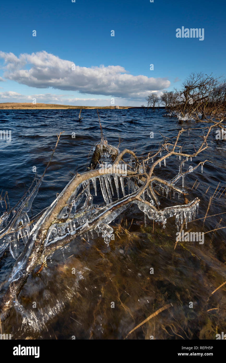 Colliford See; Bodmin Moor; Cornwall, UK Stockfoto