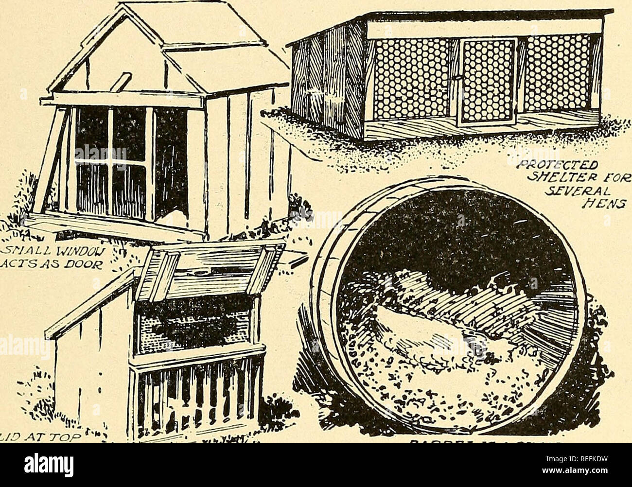 Kommerzielle Geflugel Heben Geflugel Die Hennen Sicherheit 285 Wird Es Geplagt Mit Ungeziefer Sowohl Von Der