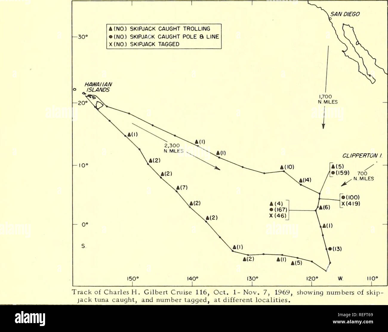 . Die kommerzielle Fischerei. Fischerei Fischhandel. Oberfläche THUNFISCH SCHULEN & Amp; im ÄQUATORIALEN OSTPAZIFIK Thomas S. Hida grosse Vogel Herden gefischt, Breezing Schulen von echtem Bonito Thunfisch, und gemischte Schulen, inklusive Gelbflossenthun großaugenthun Thunfische und ca. 700 km südwestlich von Clipperton Island von der BCF-Forschungsschiff "Charles H, Gilbert" im Oktober 1969 festgestellt wurden. Das Schiff kehrte nach Honolulu auf Novem-ber 7 nach Abschluss einer 5-wöchigen Reise. Ihre primäre missionwas tocollect Proben der Oberfläche - Schwimmen skip-Jack und Gelbflossenthun Thunfische für eine subpopuiation Studie. De-tailed Kont oinformationen Stockfoto