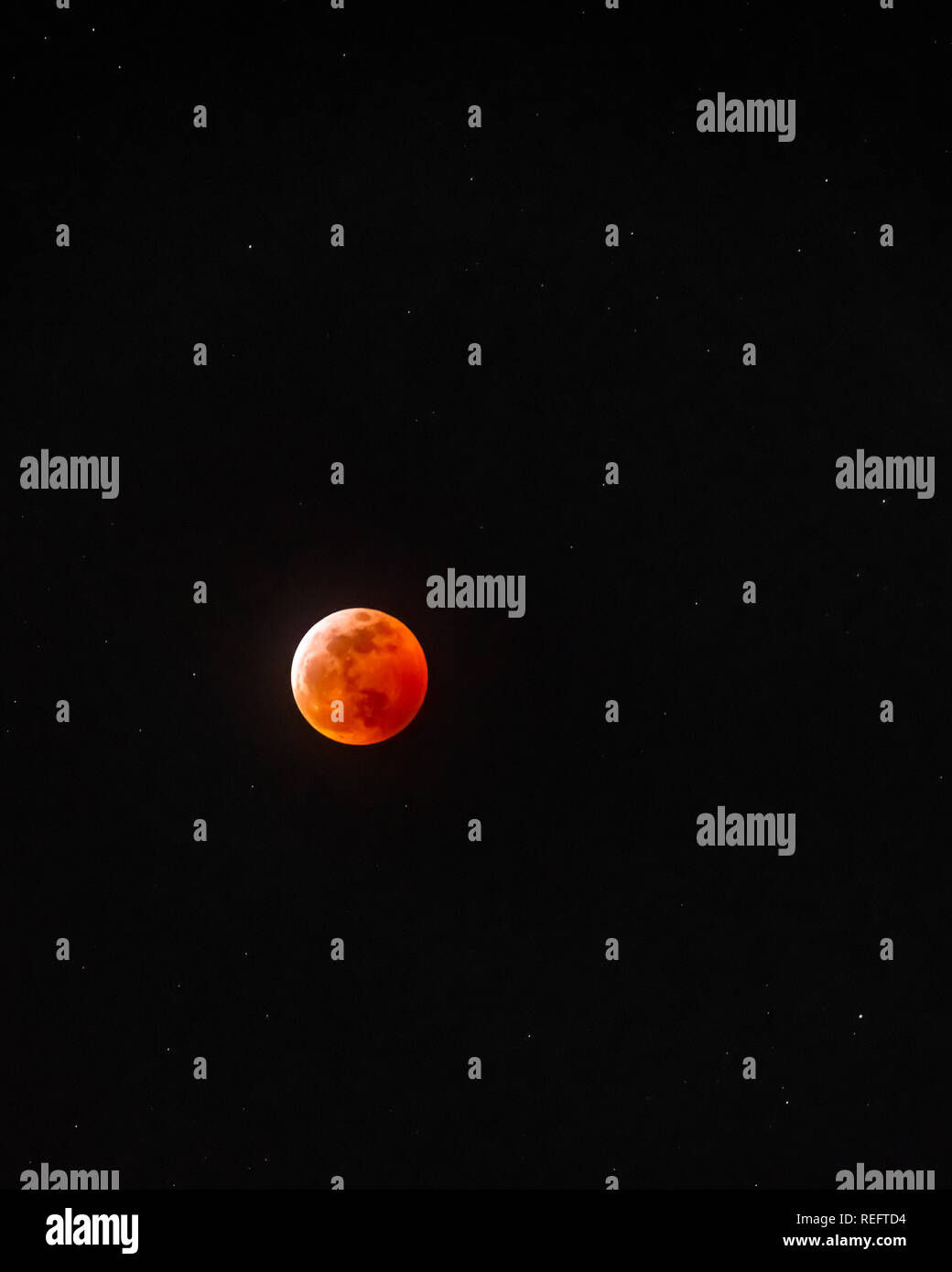 Nahaufnahme von Lunar Eclipse mit Sterne über der Innenstadt von Dallas, Texas Stockfoto