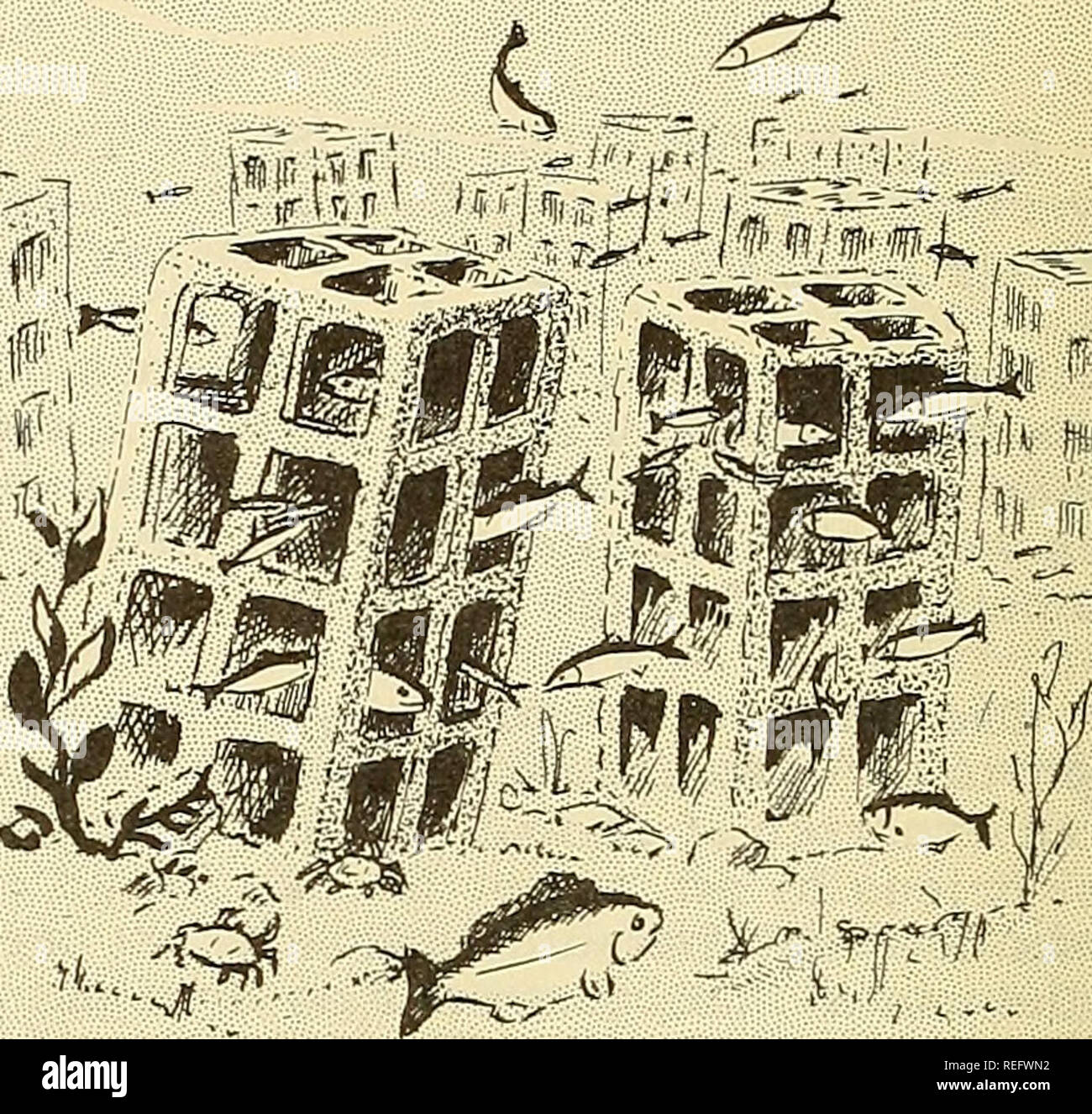 . Die kommerzielle Fischerei. Fischerei Fischhandel. 50 DIE KOMMERZIELLE FISCHEREI REVIEW Vol. 17, Nr. Fischgründe sind eine wichtige Nahrungsquelle für die südlichen Japan, haben aber nie vollständig von der schweren Erschöpfung durch die intensive Fischerei während der Kriegszeit erholt, Mai 12 US konsularischen Versand von Kobe. Die konkreten Formen werden in ausgewählten Spots in und in der Nähe der Kanal zwischen Awaji Insel und dem Festland versenkt und Dienen zu behindern und erschweren die Cur - Mieten am unteren und somit leisten Shel-ter für untere Fisch und ein Nährboden für Plankton und andere Meerestiere Stockfoto