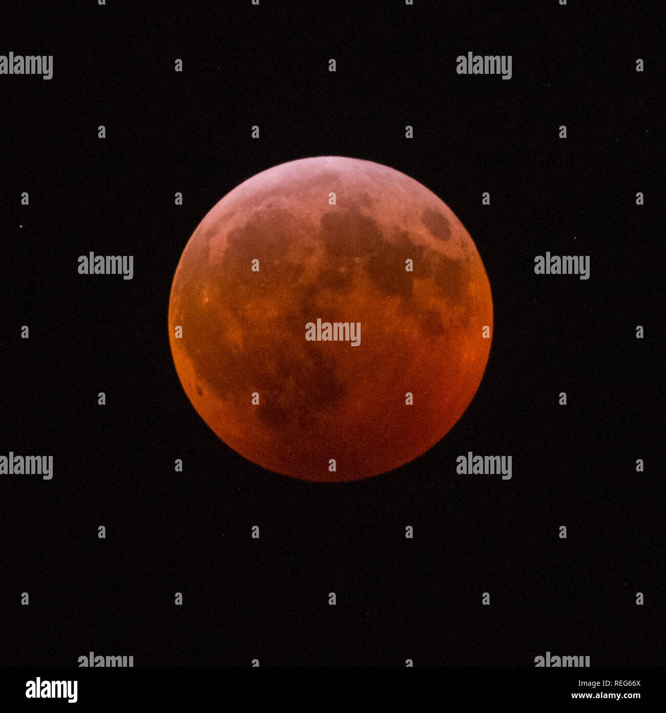 New York, USA. 20. Jan 2019. Ein Super Blut Wolf Mond von New York gesehen bei einer totalen Mondfinsternis am 21. Januar 2019. Credit: Erik Pendzich/Alamy leben Nachrichten Stockfoto