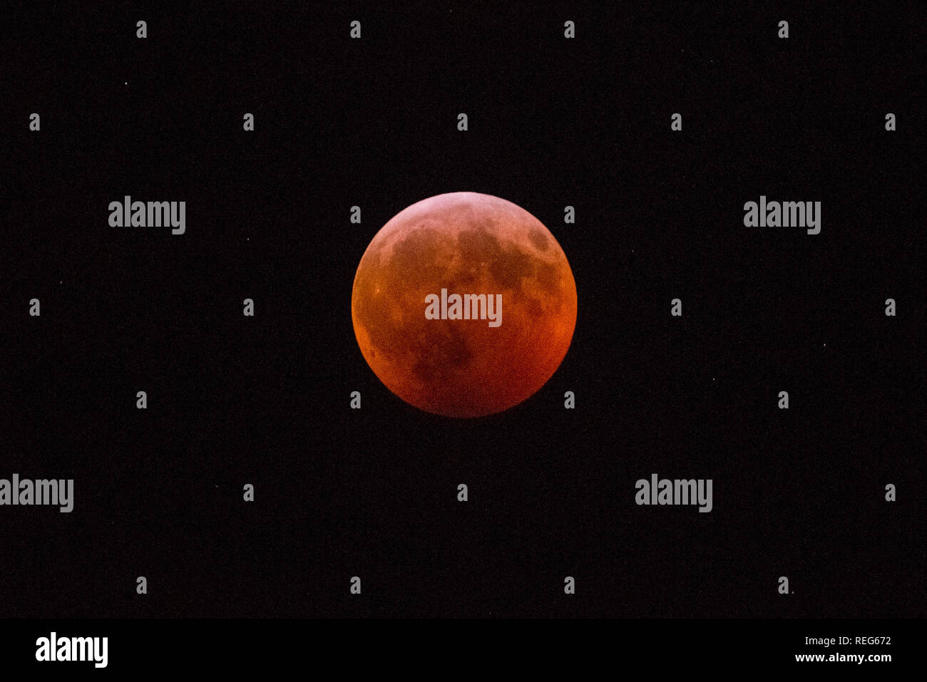 New York, USA. 20. Jan 2019. Ein Super Blut Wolf Mond von New York gesehen bei einer totalen Mondfinsternis am 21. Januar 2019. Credit: Erik Pendzich/Alamy leben Nachrichten Stockfoto