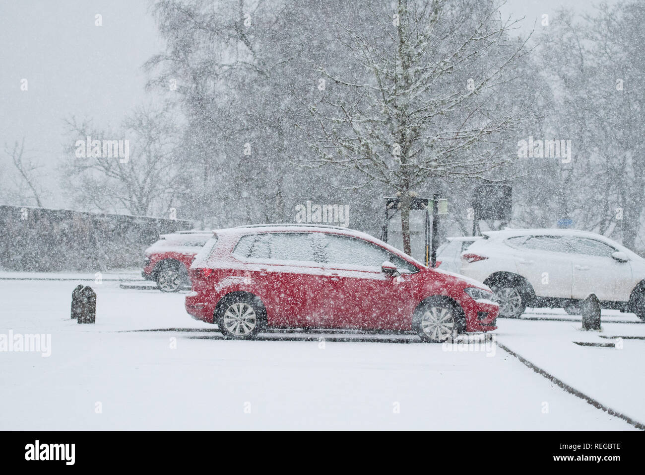 Callander, Stirlingshire, Schottland, UK - 22. Januar 2019: uk Wetter - Schnee in Callander, Stirlingshire Credit: Kay Roxby/Alamy leben Nachrichten Stockfoto