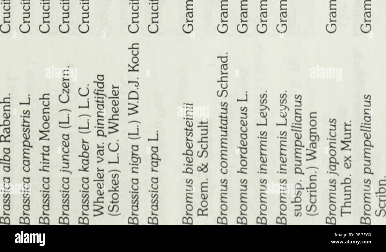 Gemeinsame Und Wissenschaftlichen Namen Der Unkrauter In Kanada Noms Populaires Et Scientifiques Des Plantes Nuisibles Du Canada Unkraut Unkraut Oq Co 7 S Cq O O O Z D