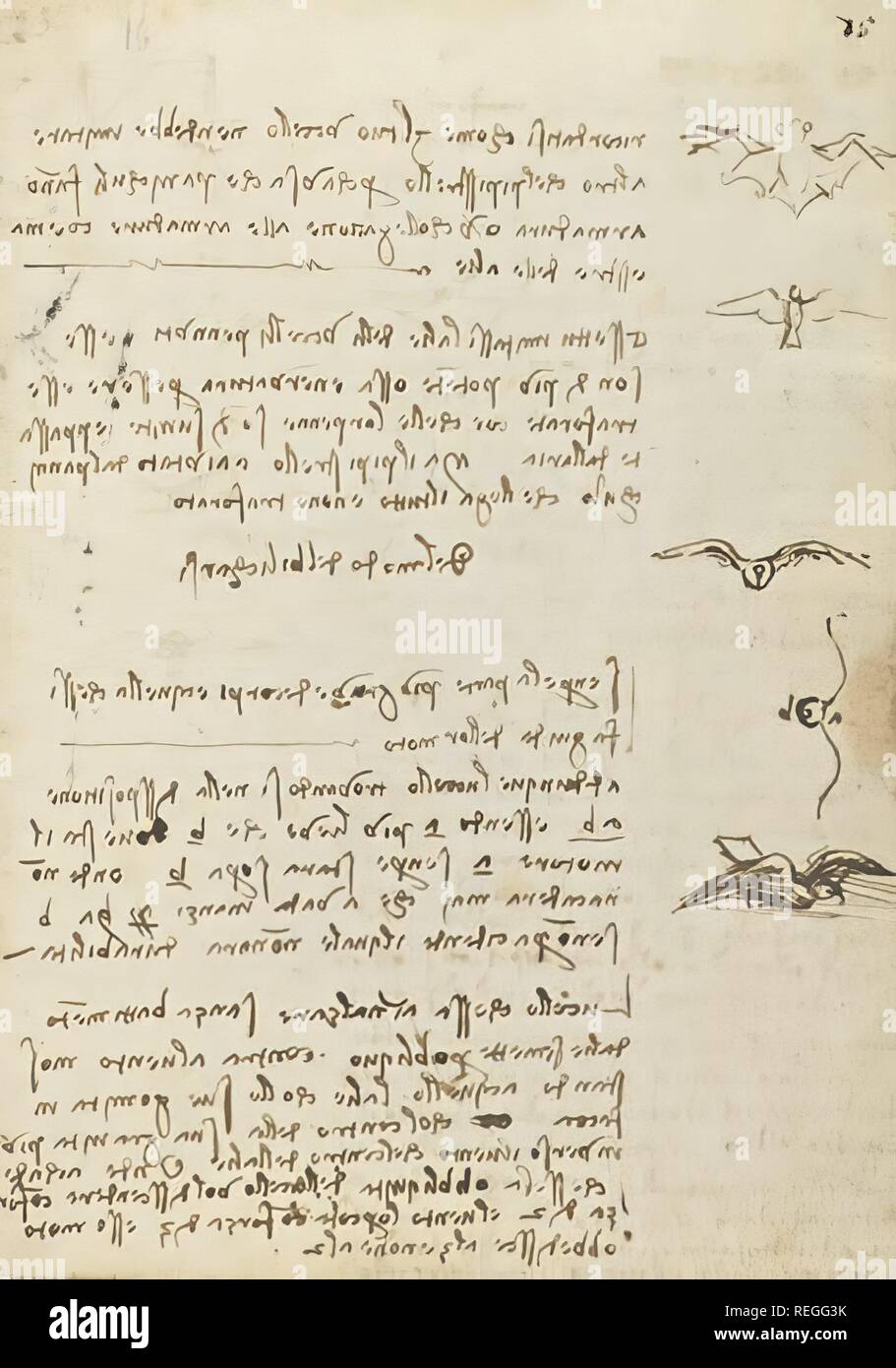 Codex auf den Flug der Vögel (Codice sul Volo degli Uccelli), von Leonardo da Vinci, C. 1505, 16. Jahrhundert, Manuskript auf Papier, 15,4 x 21,3 cm. Italien, Piemont, Turin, die Biblioteca Reale di Torino. Detail. Eine Seite aus dem Codex auf den Flug der Vögel. Stockfoto