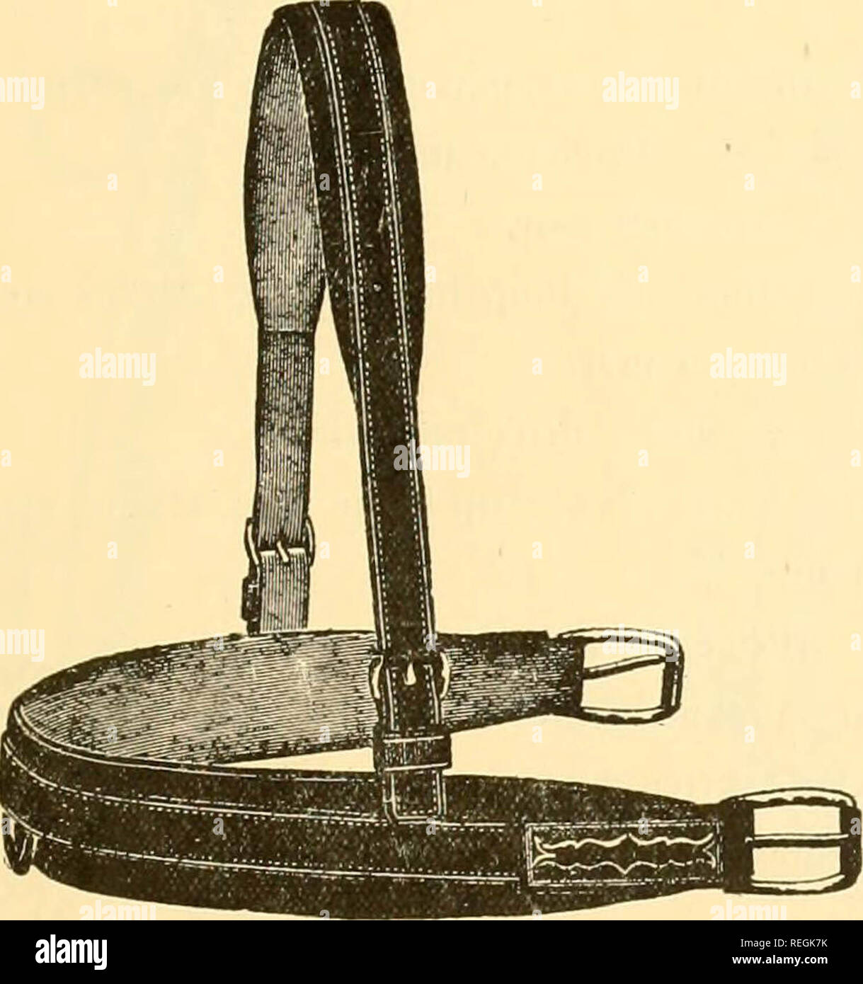 "Illustriert und Beschreibender Katalog der Sattlerei, Kutschen- und Schlittenfahrten Garnituren, General Store" (1910) Stockfoto