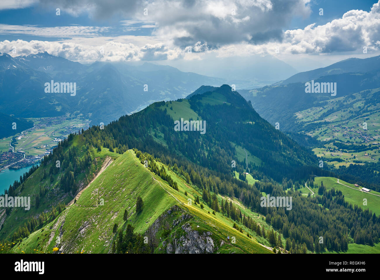 Landschaft aus Schweizer Alpen mit grüner Natur und Brienzersee (Brienzersee). Foto aufgenommen am Hardergrat Bergweg / Wanderung, bei Interlaken, Schweiz. Stockfoto