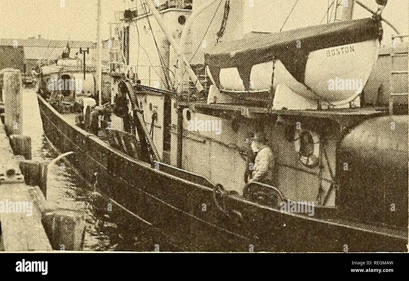 . Die kommerzielle Fischerei. Fischerei Fischhandel. Dezember 1953 die kommerzielle Fischerei ÜBERPRÜFUNG TRANSPORT VON FISCH ZU LABOR. Die Delaware zurück zum Pier am Labor für experimentelle Arbeiten zu entlasten. Bitte beachten Sie, dass diese Bilder sind von der gescannten Seite Bilder, die digital für die Lesbarkeit verbessert haben mögen - Färbung und Aussehen dieser Abbildungen können nicht perfekt dem Original ähneln. extrahiert. In den Vereinigten Staaten. National Marine Fischerei Service; US, Fisch und Wildlife Service; in den Vereinigten Staaten. Büro der Commericial Fischerei. [Washington]: Nationale Marin Stockfoto