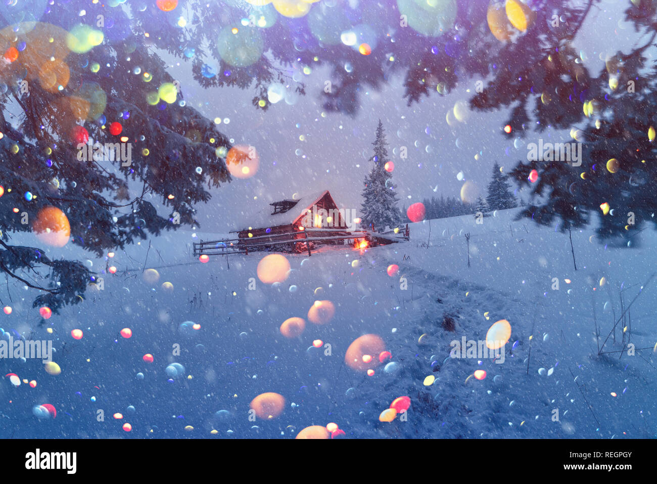 Nacht im Wald. Haus mit Licht Stockfoto