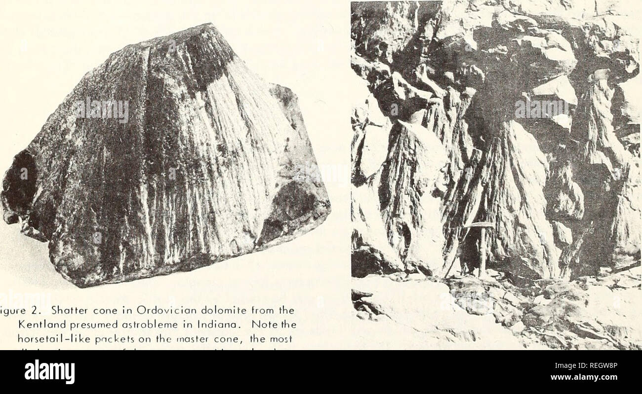 . Gesammelte Reprints, Essa Institut für Ozeanographie. Ozeanographie Zeitschriften.. ich.. Abbildung 3. Ein shatter Dolomit slab fiom die Sierra Madera Struktur, eine vermutete astrobleme in Texas. Beachten Sie, dass die gemeinsame Orientierung der Kegel und das Pferd - große Wirkung, ist das Markenzeichen von shatter cones. Abbildung 1. Ein großer Block von Shatter - konischer Knox Dolomit aus der Mitte des Wells Creek crypto-exploslon Struktur in Tennessee. Hinweis gemeinsame Orientierung des Kegels Achsen.. Abbildung 2. Shatter Kegel in Ordovicion Dolomit aus dem Kentlond vermutet, astrobleme in Indiana. Hinweis: Der Schachtelhalm - wie pnckets auf Stockfoto