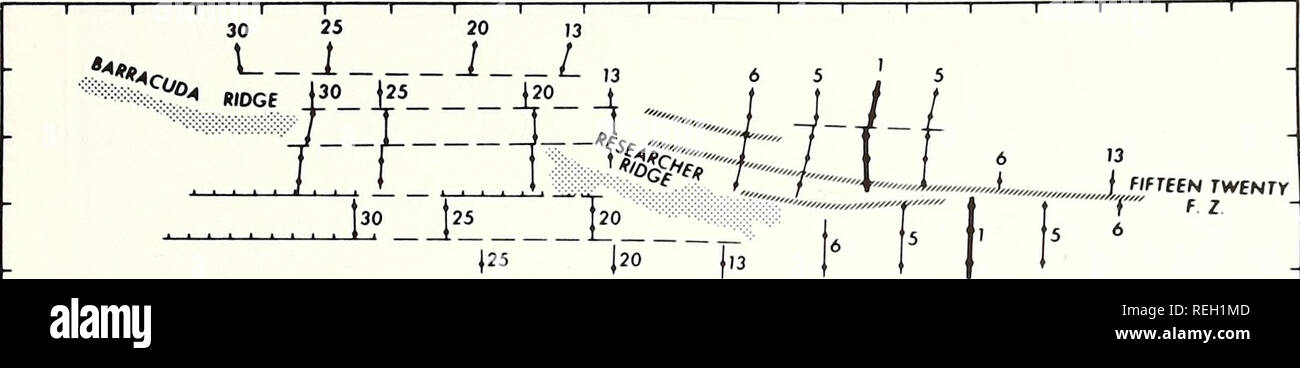 . Gesammelte reprints/Atlantic ozeanographische und meteorologische Laboratorien [und] Pacific ozeanographische Laboratories. Ozeanographie Zeitschriften.. Südwestlichen Nordatlantik und Barbados Ridge 1089. i i i .. .. I 30  i25 i20 Jli &gt; J.i f } 30 25 20 13 6 5! 5 t t J I t/(l3 ^ l2L J!° J ; I I [30} 25" | 20fa | 6 I 5 f'i l i i i i i i i i i i VEMA F Z 16° 14° 12° 10° 60° 58" 56° 54° 52° 50° 48° 46° 44° 42° 40° Abb. 11 - Identifikation und Offset Muster der magnetisch-Anomalie lineations östlich der Kleinen Antillen arc. Anomalie Zahlen sind nach Pitman et al (1968). Anomalie. 1i Stockfoto