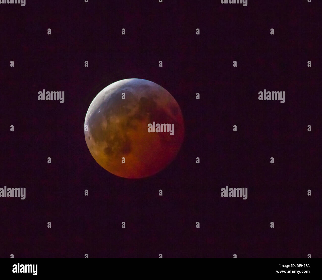 Die Januar 20, 2019 Super Blut Wolf Mond als von Charlotte, North Carolina. Stockfoto