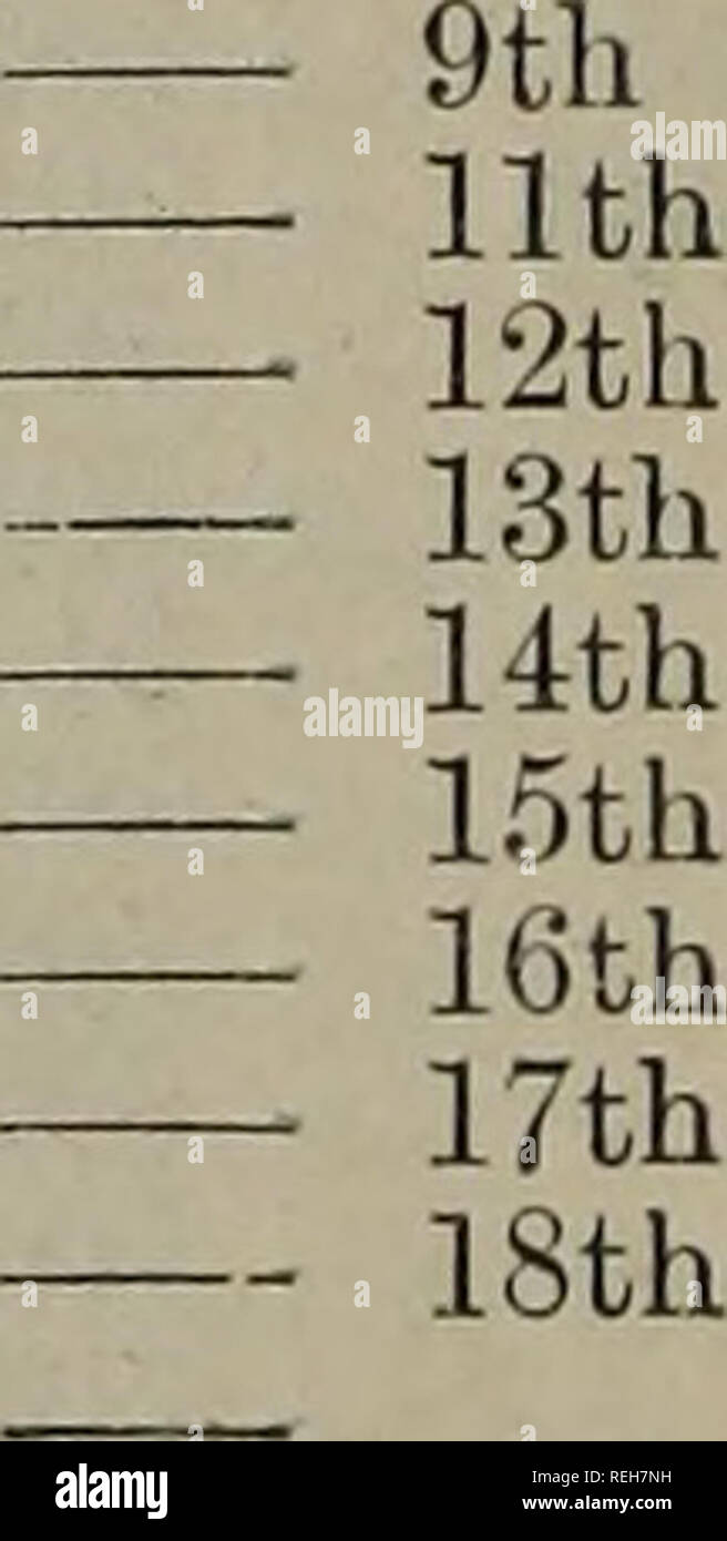 . Die coates Zuchtbuch. Iviii INDEX. Züchter. Die Fa. Garue - Herr Reich - Lady Pic^ ot - Herr Pawlett Willis von Killerby Pawlett • Riall von Lancashire" Kol. Towneley von Lancaster Herr Kreuz ('OU'S. Rose von der Glo ter der Hoffnung von Juni Luzern Mai Hochsommer Oxford 2 Versprechen Hewer Barton Dent Bowly tun. Spiel Spiel Slye Stewart von Raby - surtees von ribblesdale Strebe gut von Santon - Herren Gaitskell von Skalen- Herr Ashbtirner von smeaton Herzog von buccleuch der Frühling - Herren Spiel des Strathallau Strathallan Herrn Sommer Herr allen Herren Spiel der Mond tun. Der Vale Herr Morley der Stockfoto