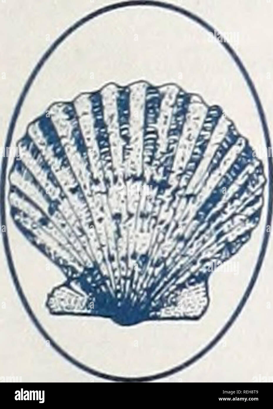 Gemäßigte zone -Fotos und -Bildmaterial in hoher Auflösung - Seite 2