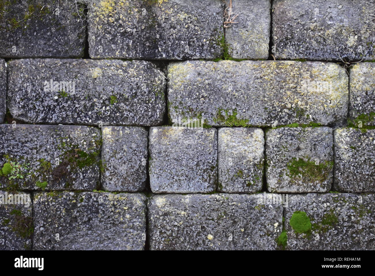 Detail der Stein Wand aus Stein Blöcke der gleichen Höhe aber verschiedene Größe. Stein Oberfläche verwittert und wenig porös mit gelegentlichen Grün und Gelb Stockfoto