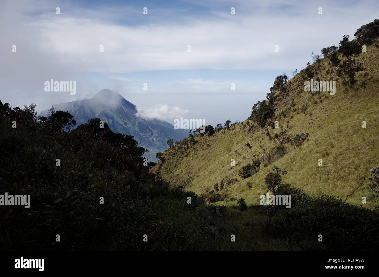 Aufsteigend Mount Merbabu Indonesien Stockfoto