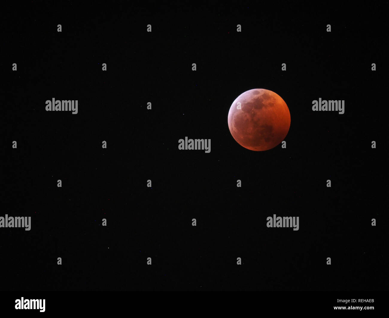 Super wolf Blut Mond von Jan 20th, 2019 Stockfoto