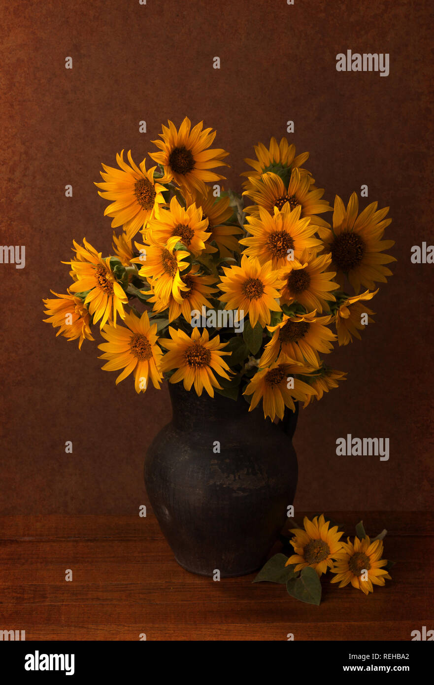 Immer noch leben. Schöne Sonnenblumen in alten Tontopf. Stockfoto