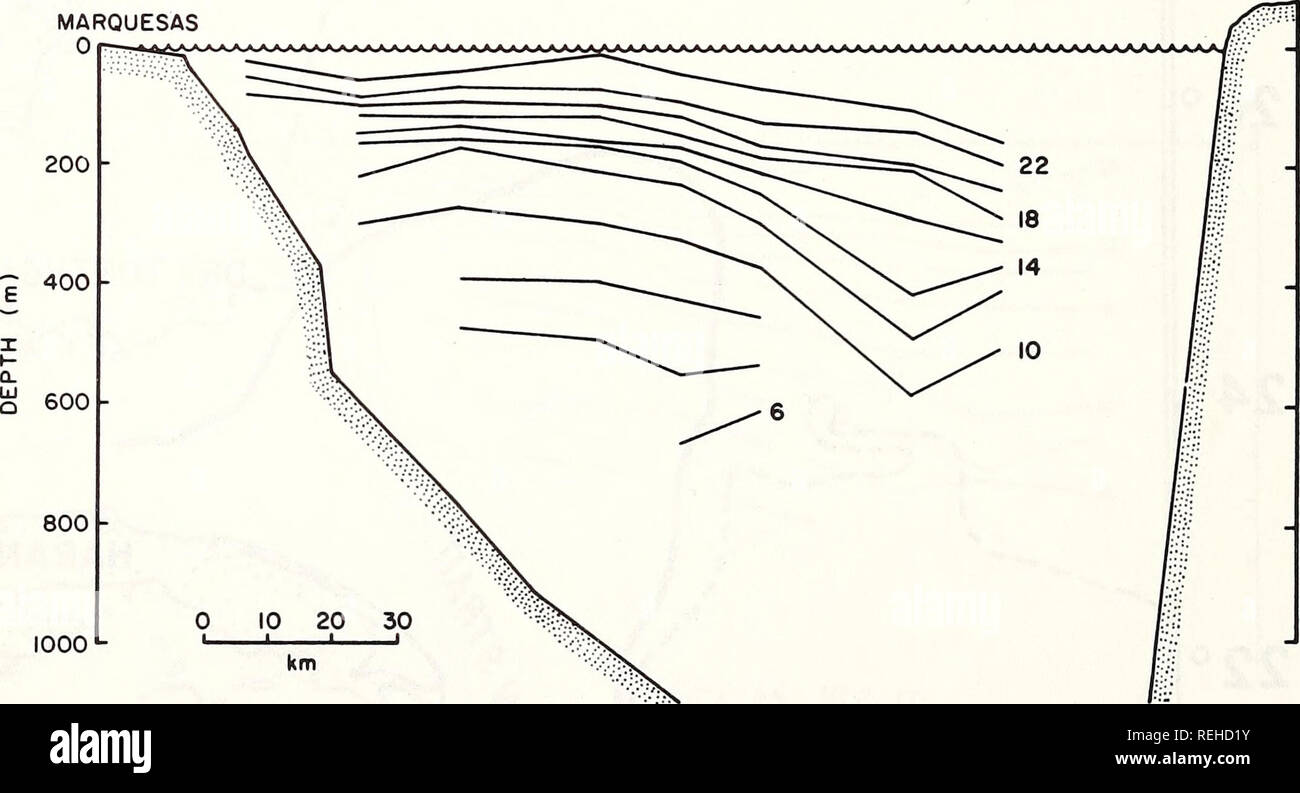 . Gesammelte reprints/Atlantic ozeanographische und meteorologische Laboratorien [und] Pacific ozeanographische Laboratories. Ozeanographie Zeitschriften.. Chi s# s 1 - 8 - 6 - 4 2 - 0 -. 004-130 -: 29-. 003 -: 28 -.002- 27--. 001-1 26 - 25 - 24 - marquesas 0*s Chi. 1000 L** (m-r -') (mg • m -') (°C) Kuba. Straße von FLORIDA MÄRZ 1973 468. Bitte beachten Sie, dass diese Bilder sind von der gescannten Seite Bilder, die digital für die Lesbarkeit verbessert haben mögen - Färbung und Aussehen dieser Abbildungen können nicht perfekt dem Original ähneln. extrahiert. Atlantic ozeanographische und meteorologische L Stockfoto