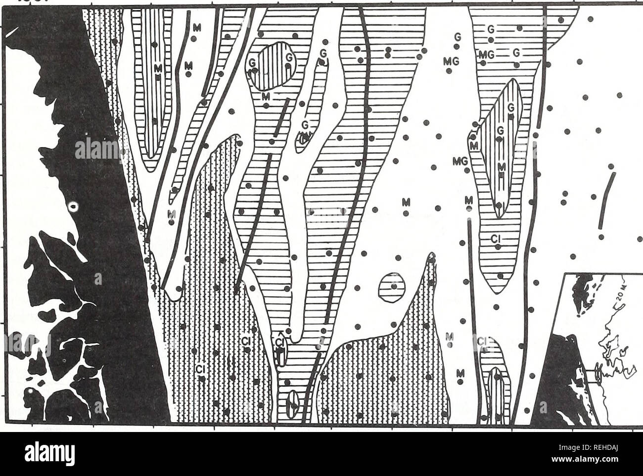 . Gesammelte reprints/Atlantic ozeanographische und meteorologische Laboratorien [und] Pacific ozeanographische Laboratories. Ozeanographie Zeitschriften.. 878 SWIFT und BOEHMER vorsichtig mit Verallgemeinerungen über die Pigment- und Korngröße als Kriterien der "Relikt" versus "mod-ern" Sand. Wir nehmen zur Kenntnis, dass das graue "nearshore moderne Sands" mit ihren charakteristischen Meer - Gemeinde Abnahme der Korngröße, sind in unserem Bereich con-bestraft eine schmale Zone an der oberen Ufer zwischen dem Schalter und der 10-Meter-Isobathe (Swift und andere, 1971). Wir glauben, dass diese Band mit feinem Sand am besten ist Stockfoto