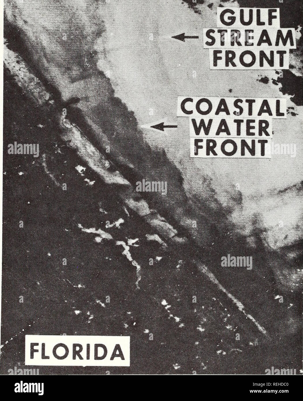 . Gesammelte reprints/Atlantic ozeanographische und meteorologische Laboratorien [und] Pacific ozeanographische Laboratories. Ozeanographie Zeitschriften.. 3 Ulf stream; vorne: Küsten * - am Wasser. Abbildung A.9 Kontrast - gestreckt (8&lt; DN&lt; 16; n-1) negative MSS-5 Bild der Florida Küste südlich von Cape Canaveral (ERTS ID 1206-15232), am 18. August 1972 festgestellt. Federn von Wasser aus hinter der Barriere Inseln kann man Ebbe - durch die Einlässe ing. Komplizierte Muster der Küstengebiete Sedimentation eine multifronted Grenze zwischen den nearshore Wasser und der Golfstrom zeigen. Änderungen in der Ausstrahlung appea Stockfoto