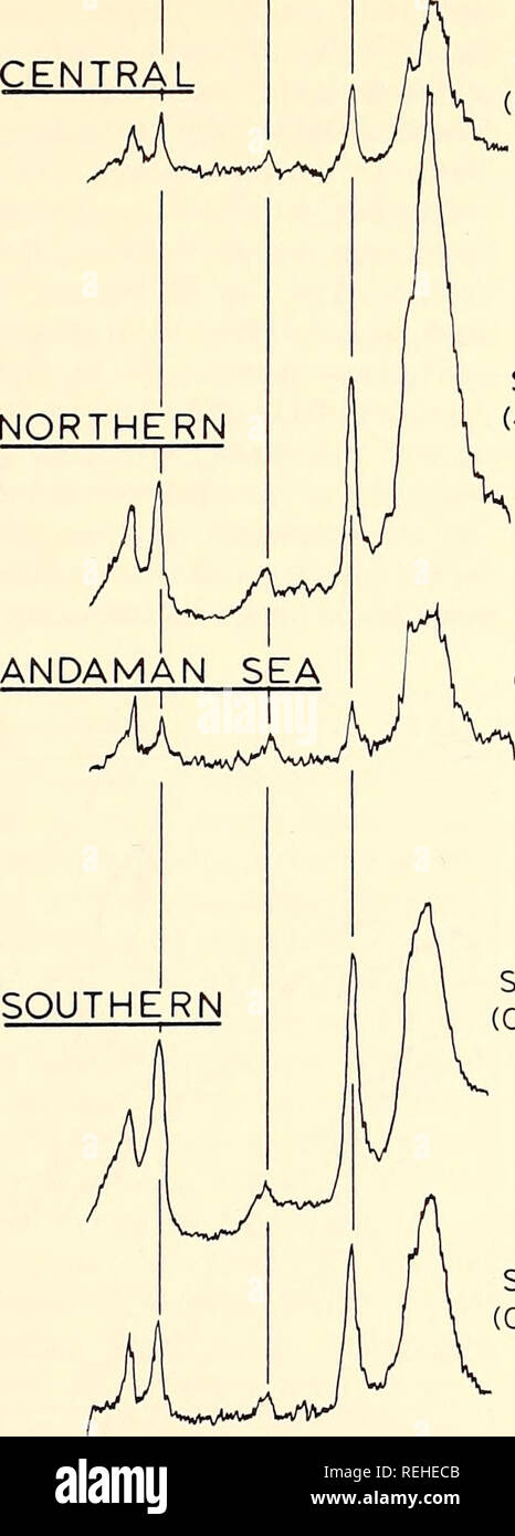 . Gesammelte Reprints, Essa Institut für Ozeanographie. Ozeanographie Zeitschriften.. 120 George H. KELLER UND ADRIAN F. RICHARDS UNBEHANDELT 3,6 5 7 EINE ZENTRALE. Ethylenglykol 3.6 5 7 EIN STA 195 (0-5 cm) Sta 204 (40-43 c Sta 209 (1-3 cm Sta 179 (0-13 cm) Sta 184 (0-6 cm). Bitte beachten Sie, dass diese Bilder sind von der gescannten Seite Bilder, die digital für die Lesbarkeit verbessert haben mögen - Färbung und Aussehen dieser Abbildungen können nicht perfekt dem Original ähneln. extrahiert. Institut für Ozeanographie; Atlantic Oceanographic Labors (U. S.); Pazifik ozeanographische Laboratorien; Unite Stockfoto