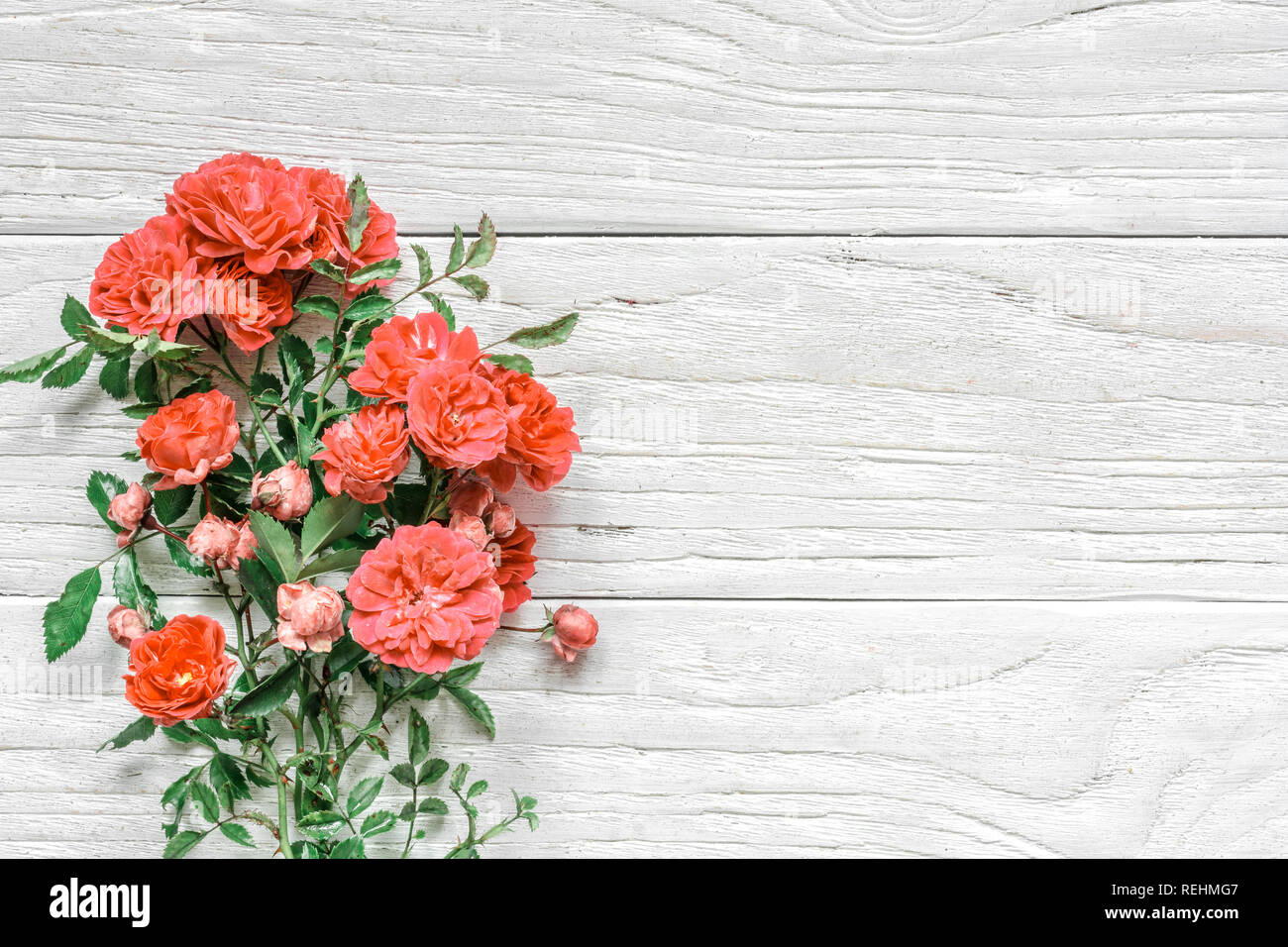 Blumenstrauß aus Rosen in lebende Koralle Farbe. Pantone-Farbe des Jahres 2019. Natur Konzept. Flach. Mock up. Ansicht von oben mit der Kopie Raum Stockfoto