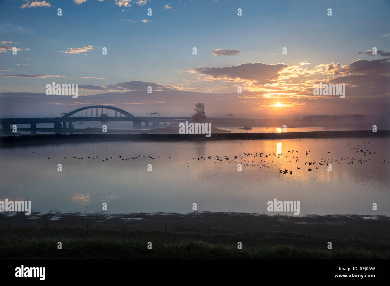 Die Niederlande, Lopik, Lek Fluss, Aue, Brücke über die Autobahn A2. Stockfoto