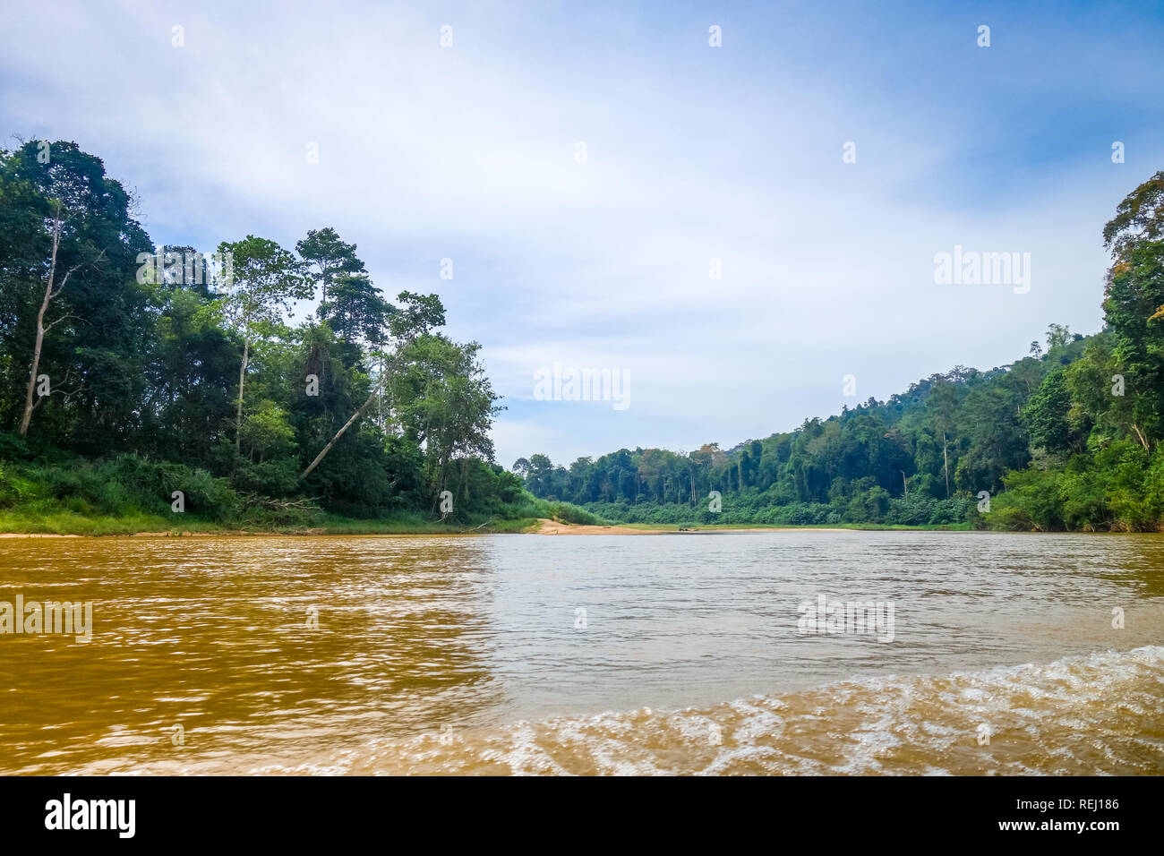 Fluss und Dschungel Landschaft in Taman Negara National Park, Malaysia Stockfoto