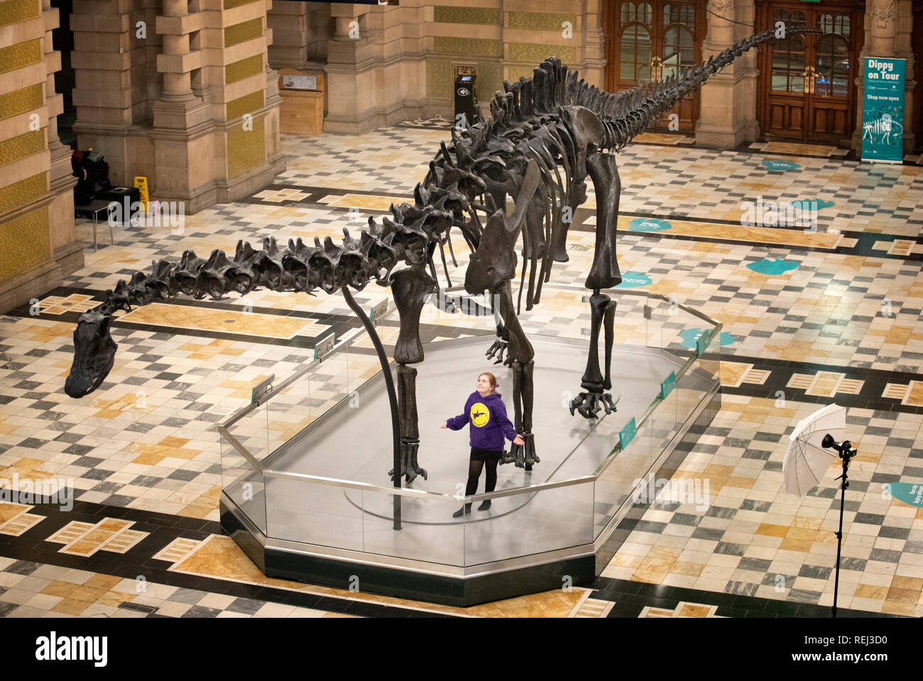 Emillie McQuade, 11, von Sunnyside Grundschule, einen genaueren Blick auf Dippy, das Natural History Museum London's berühmten diplodocus Skelett, nachdem es in der Kelvingrove Art Gallery und Museum in Glasgow vorgestellt wurde. Stockfoto