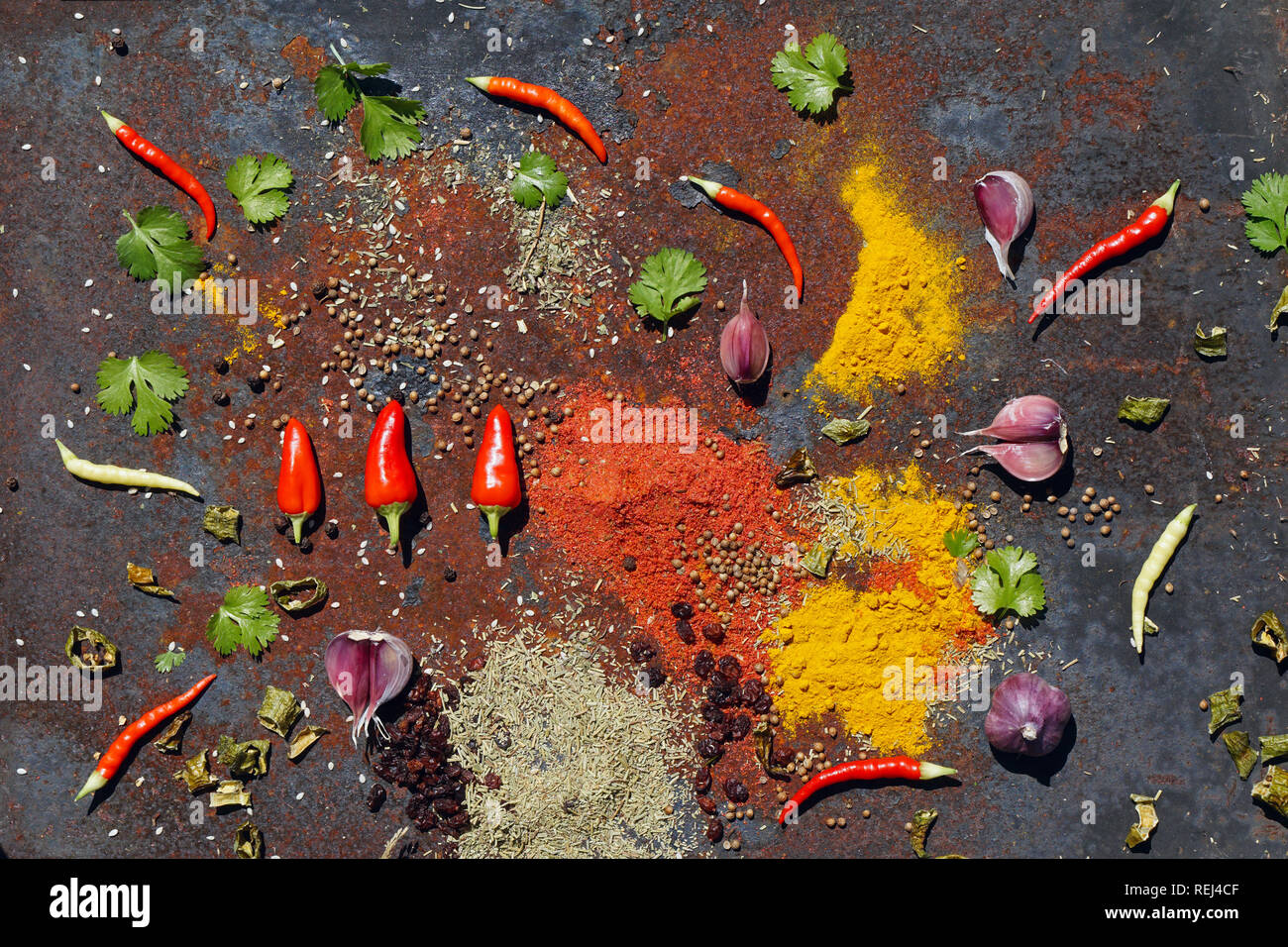 Eine Zusammenstellung der verschiedenen Gewürze zum Kochen. Rote Chilischoten, Paprika Flocken, gelb Gelbwurz, grüne Rosmarin auf Eisen rustikale Hintergrund Stockfoto