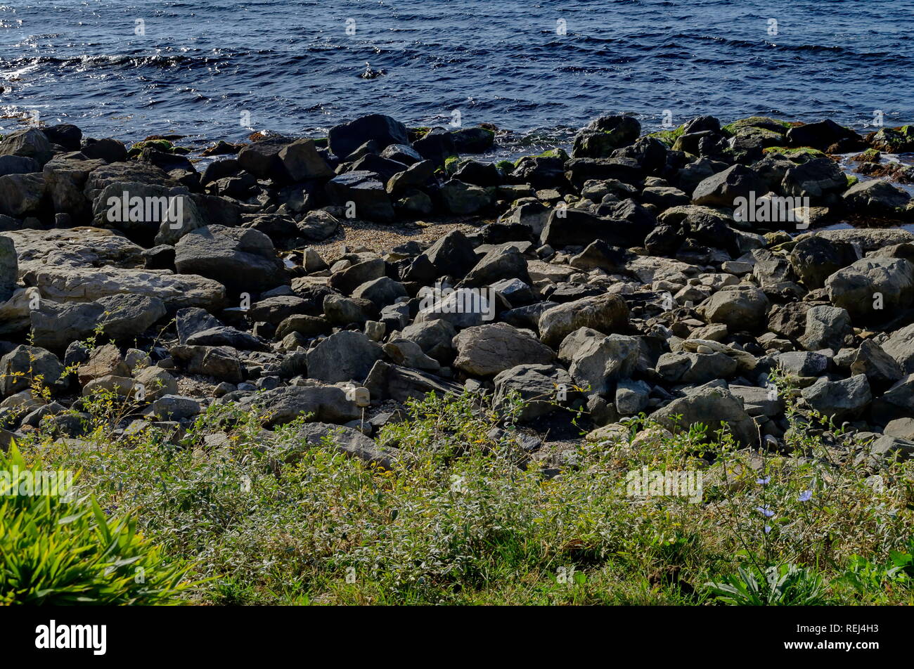 Das Meer und der ruhige Wellenbewegungen im Schwarzen Meer Küste mit Felsen und Wiese in der Nähe der antiken Stadt Nessebar oder Mesembria, Bulgarien, Europa Stockfoto