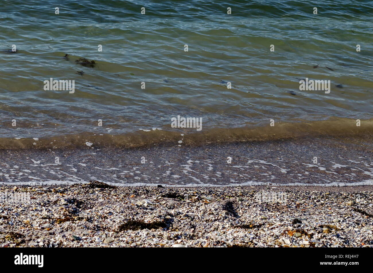 Marine von Wellenbewegungen im Schwarzen Meer sandige Küste und Strand in den Oberteilen der verschiedenen Muscheln in der Nähe der antiken Stadt Nessebar oder Mesembria bedeckt, Stockfoto