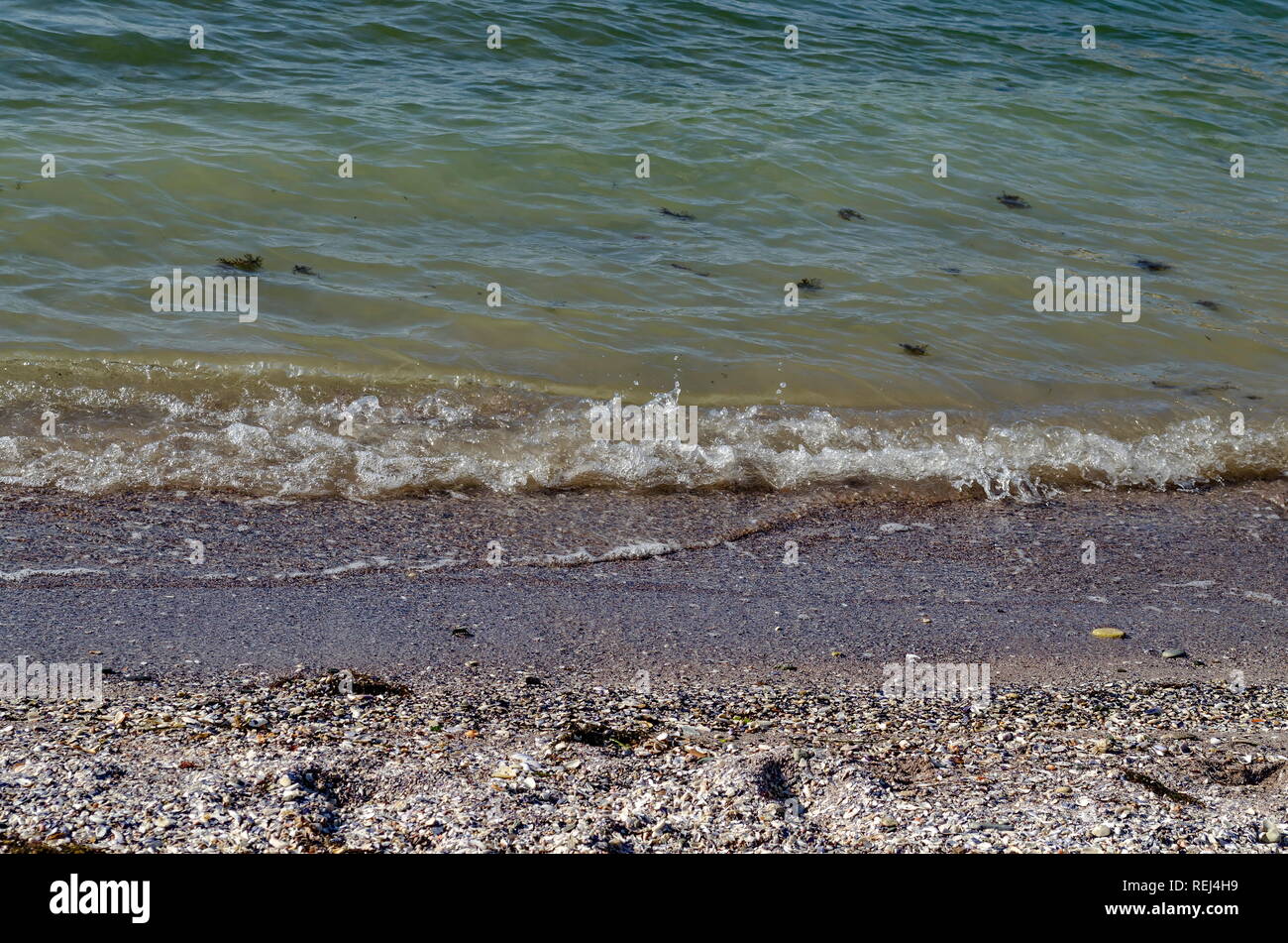 Marine von Wellenbewegungen im Schwarzen Meer sandige Küste und Strand in den Oberteilen der verschiedenen Muscheln in der Nähe der antiken Stadt Nessebar oder Mesembria bedeckt, Stockfoto