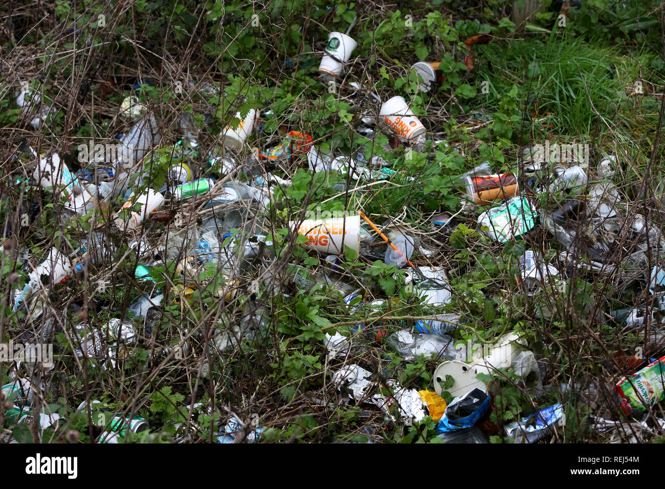 Allgemeine Ansicht, und Burger King Single Use trinken Karton zusammen mit anderen Abfällen und Müll am Flussufer in Chichester, West Sussex, UK. Stockfoto
