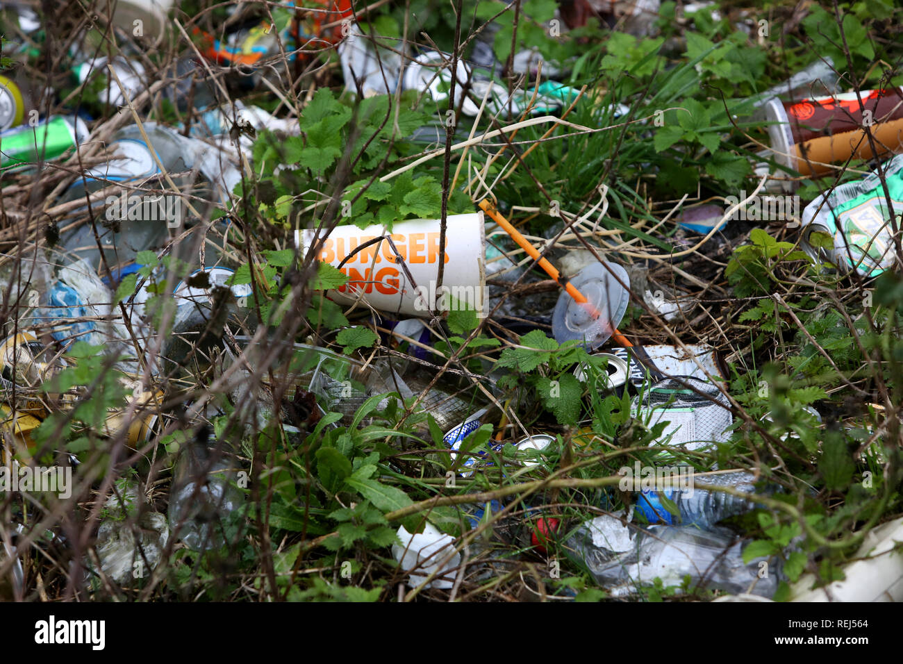 Allgemeine Ansicht, und Burger King Single Use trinken Karton zusammen mit anderen Abfällen und Müll am Flussufer in Chichester, West Sussex, UK. Stockfoto