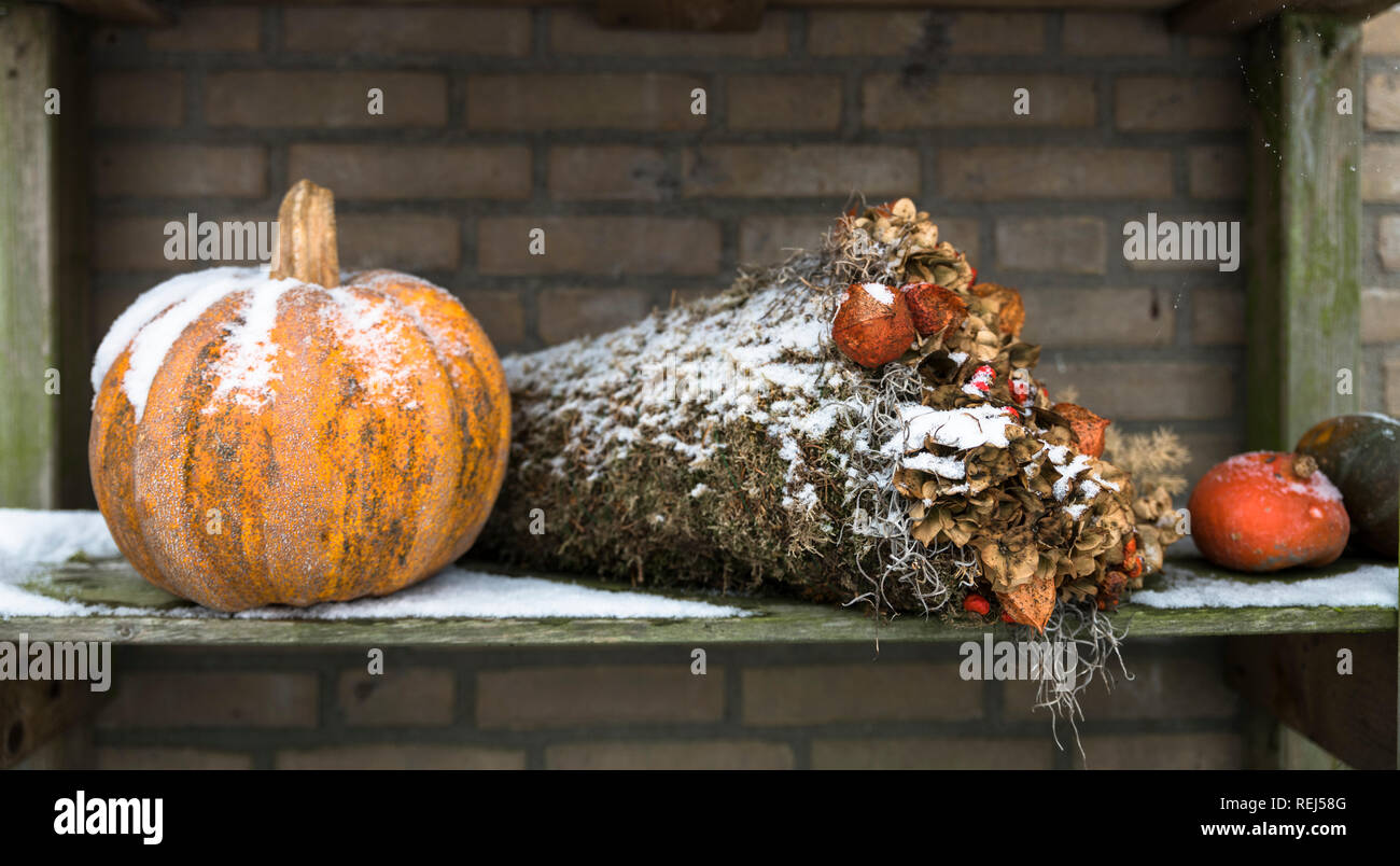 Winter Dekoration im Garten mit Kürbis und Moos auf einem Tisch im Schnee Stockfoto